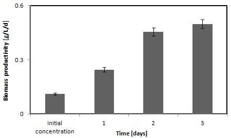 A biomass productivity in the OPPBR