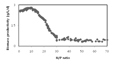 The relationship between biomass productivity and N/P ratio