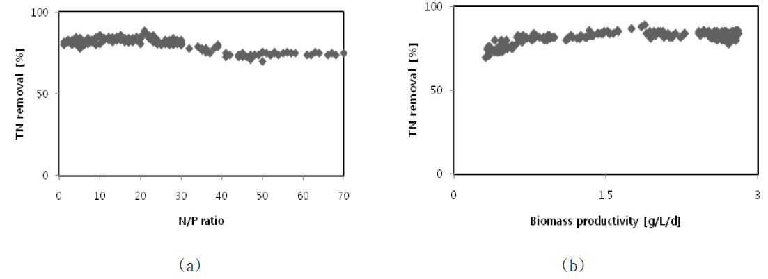 The correlation of TN removal and N/P ratio (a) and biomass productivity and TN removal (b)