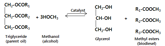 Transestrification of oil to biodiesel. R1-3 are hydrocarbon groups.