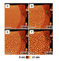 공기 중 노출시킨 black phosphorus의 시간에 따른 AFM 이미지, Nano letter(2014)