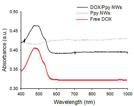 UV-Vis를 사용하여 Doxorubicin-conjugated 된 폴리피롤 나노와이어 구조체 (DOX/Ppy NWs) 및 free DOX, Ppy NWs를 비교함. DOX/Ppy NWs에 부착된 DOX molecule의 존재를 490 nm peak을 사용하여 확인함.