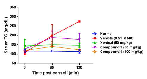 화합물 1 (50 또는 100 mpk) 또는 xenical (50 mpk)를 12시간 절식시킨 C57BL/6J mice에 경구로 30분 전처리한 후 corn oil을 투여하고 2시간 동안 혈청에서의 TG 농도를 측정한 결과.