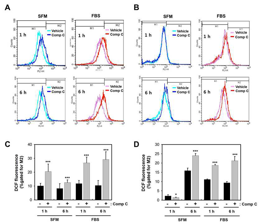 [보고서]Compound C에 의한 PDGF와 VEGF 수용체 신호전달과 혈관신생 및 종양생성 억제 기전 연구