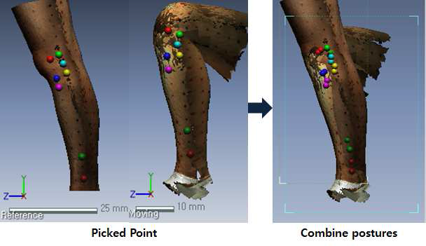 Examples of the merge method for the standing and 90􌜿 knee flexion postures of the front shin