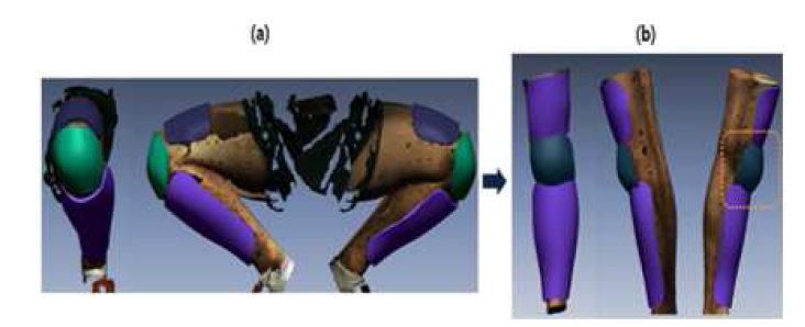 (a) Modeling the knee leg guard at a 120􌜿 knee flexion posture (b) The model, while standing, is wearing the leg guard shown from a 120􌜿 knee flexion posture