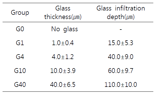 생체활성 glass 비율에 따른 글라스 침투 두께 및 침투 깊이