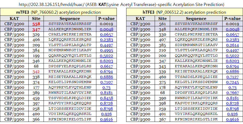 ASEB를 이용한 TFE3 아세틸화 부위 예측