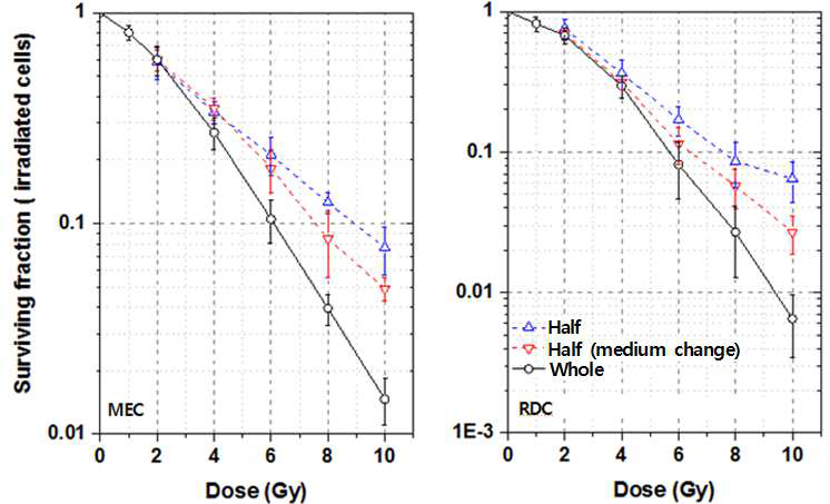 표적세포의 전체 피폭 (whole) 대비 일부 피폭(half) 시 세포생존률 비교