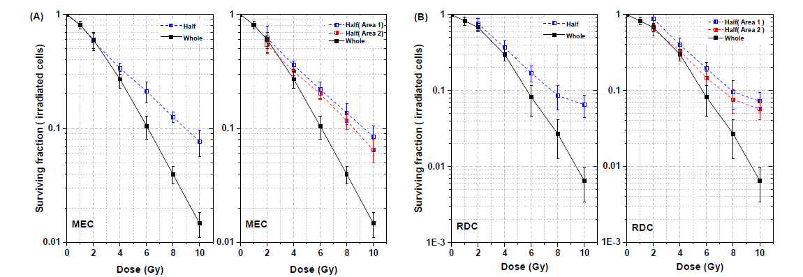 세포 전체 조사(whloe beam) 대비 50% 조사(half beam) 시, 비표적 근접세포로 부터 거리가 다른 영역에 속하는 표적세포의 피폭선량에 따른 세포증식능 변화