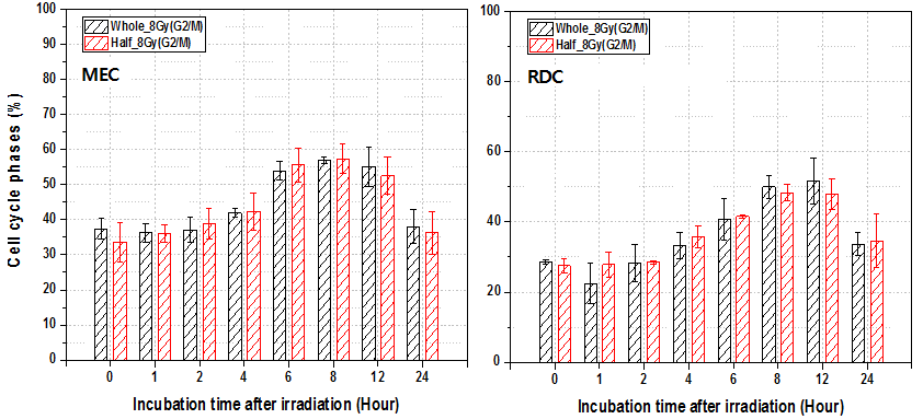 비표적세포의 존재 여부에 따른, 표적세포의 8 Gy 조사 후 시간 경과에 따른 G2/M기 분률 변화