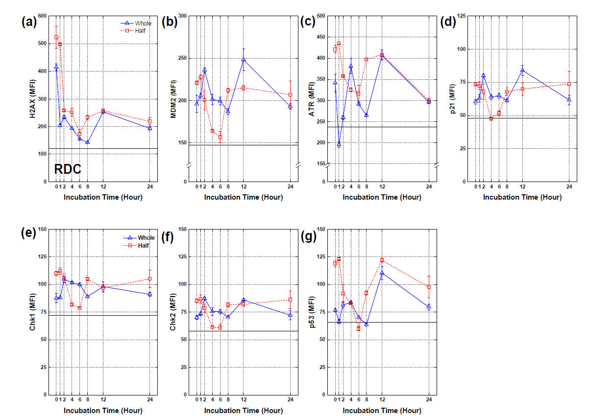 RDC 실험재 세포의 8 Gy 조사 후 시간 경과에 따른 세포내 각 단백질 MFI 값 변화 (solid line, 대조군)