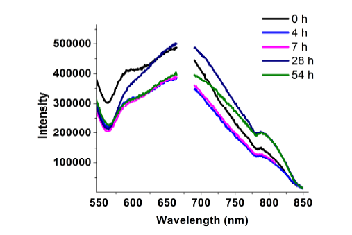 Chemical stability of HDCN-protected gold nanodots in DMEM at 37oC