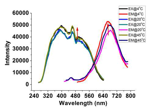 Temperature dependence of gold nanodots in aqueous solution