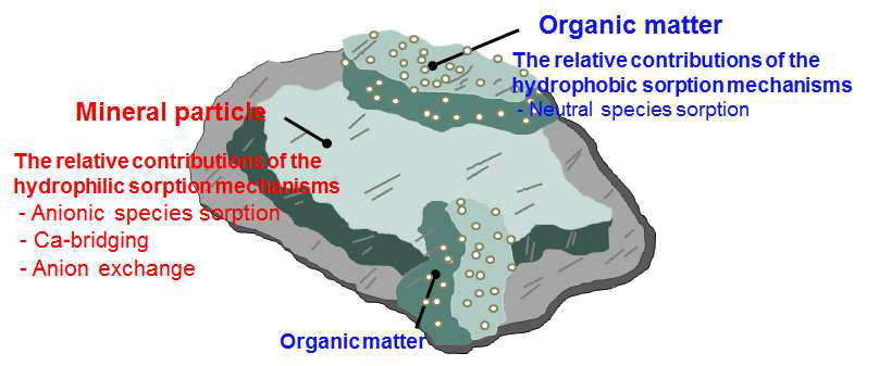 이온성 유기화합물의 토양 흡착영역별 상호작용