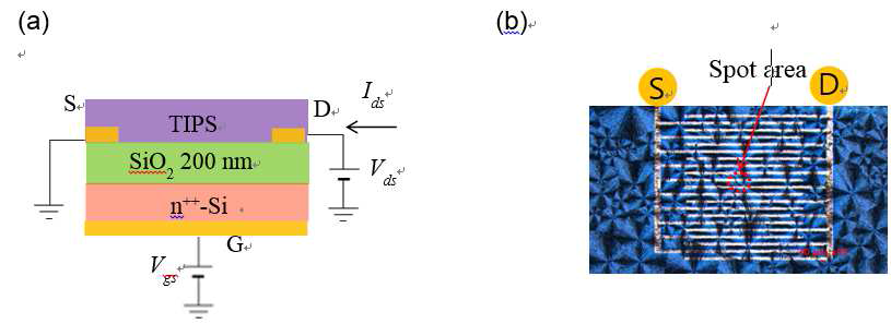 (a) TIPS-pentacene 박막트랜지스터 구조(측면), (b) TIPS-pentacene 박막 표면 이미지