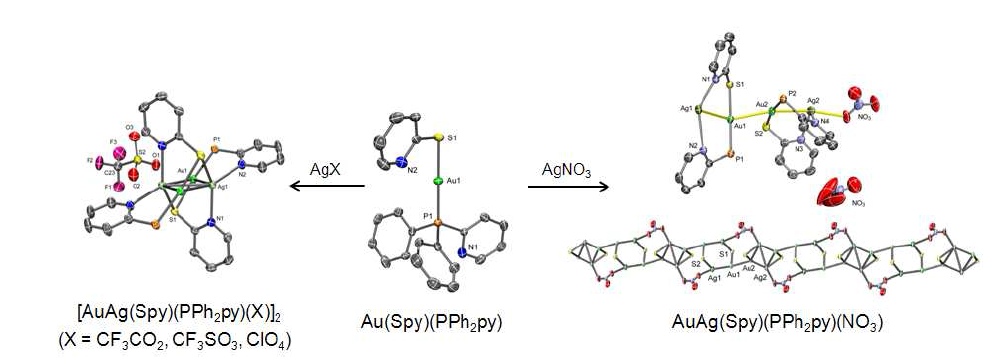 Au(Spy)(PPh2py) metalloligand를 사용한 Ag(I) 착물들의 X-선 결정구조