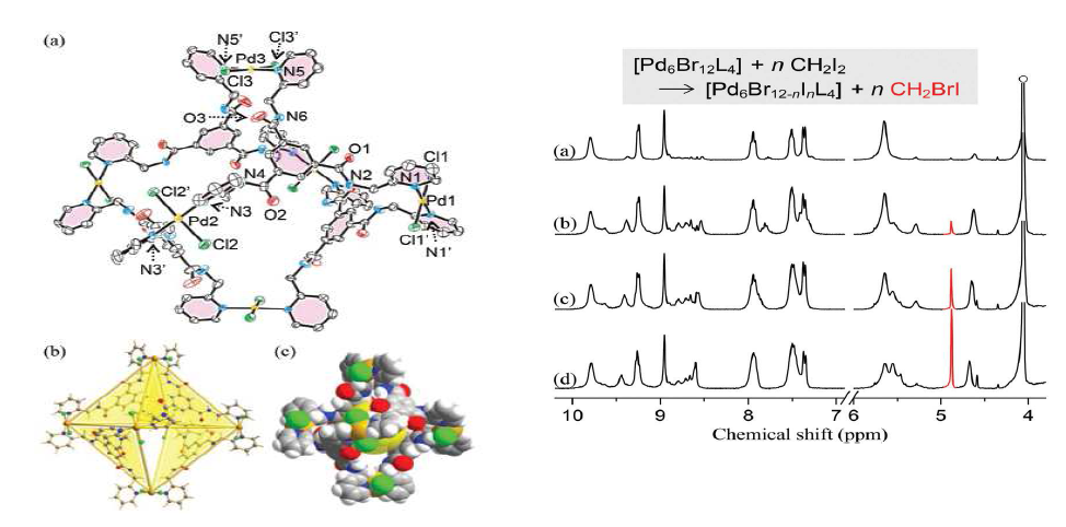 새장구조의 Pd(II) 착물의 구조 및 물리화학적성질