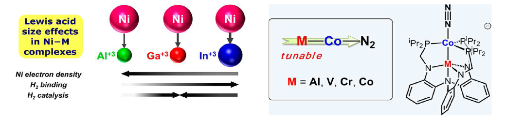 제 2 금속이온에 의한 H2 및 N2 활성화 촉매작용