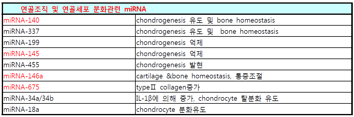 연골형성 촉진관련 miRNA