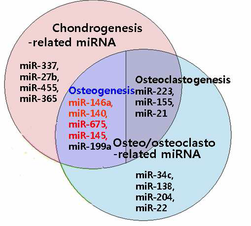 연골형성 및 골형성에 공통적으로 관련하는 miRNA 4종 밝혀짐