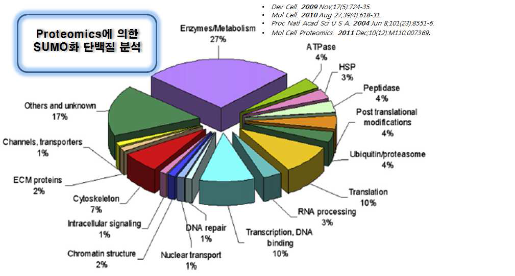 프로티오믹스에 의한 SUMO화 단백질 분석 결과 기존의 SUMO 연구의 대부분을 차 지하던 핵 기능관련 단백질 외에 다양한 종류의 SUMO화 단백질 보고.