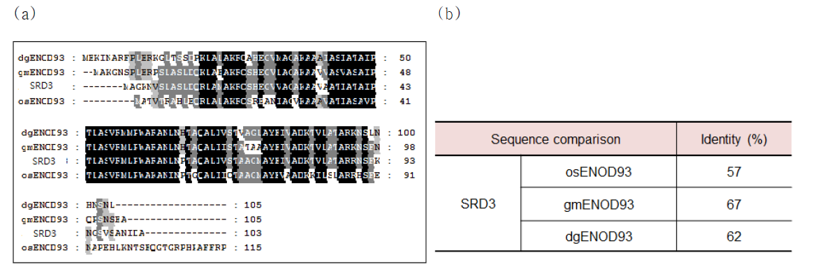 Amino acid sequence alignment of SRD3 proteins from sweetpotato, rice (osENOD93), Glycine max (gmENOD93) and Datisca glomerata (DgENOD93).