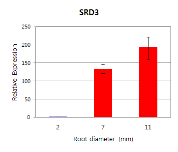 Transcript levels of SRD3 gene during storage root development.