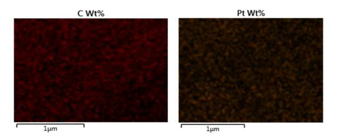 G-Pt 나노금속 전극 원소분석 결과