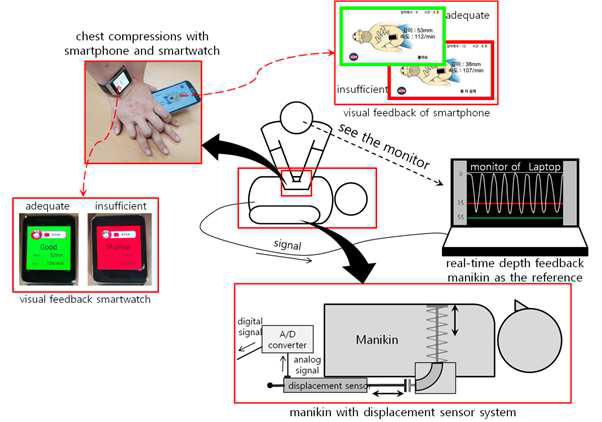 개발된 저가형 피드백 마네킹과 스마트폰 및 스마트와치 기반의 어플리케이션
