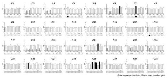 Ion PGM의 coverage depth을 이용하여 판단한 copy number change(bar graph)와 gold standard 방법인 real-time PCR 결과(bar graph 아래에 있는 boxes) 간의 비교. copy number gain은 black으로 표시하였고, loss는 gray color로 표시함. normalized value를log2를 취한 이후, +/- 1.5 IQR 밖에 있는 값을 copy number gain or loss로 판정함.