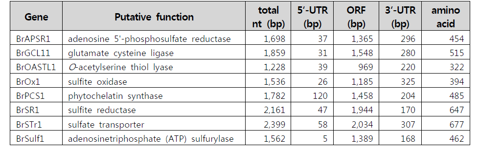 Kimchi cabbage glutathione-related genes and their nucleotide sequence information