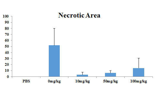 On histopathology, administration of rhTrx-1 markedly reduced the proportion of necrotic area at the doses more than 10 mg/kg.b.w.
