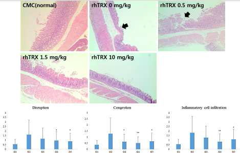 The histopathology of the representative stomach of each group in the aspirin-induced gastric injury model