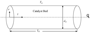 Schematic of the modeling domain in the reactor