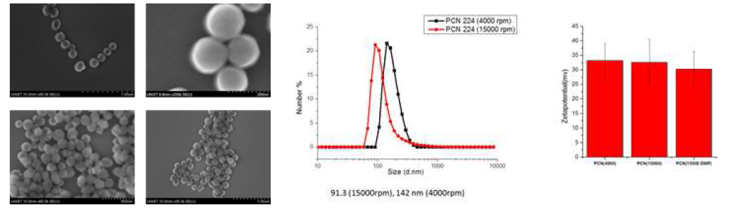 SEM 이미지와 DLS와 zeta-potential data