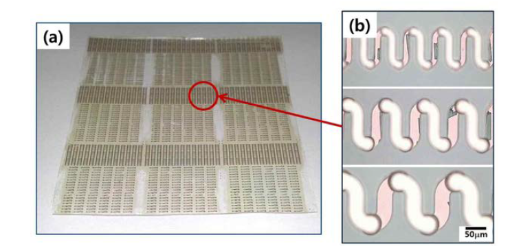 신축성 PDMS 기판으로 전사된 후의 3차원 코일구조 전극 형상