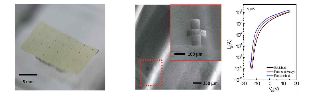 Stretchable 산화물 반도체 TFT 어레이