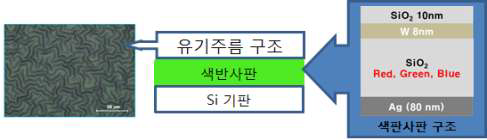 유기 Wrinkles 박막을 이용한 Fabry-Perot cavity 색선택 반사판의 개략도