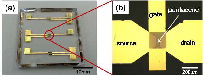 하이브리드 PDMS 기판 상에 제작된 유기트랜지스터 형상