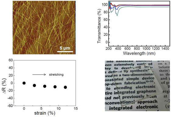 Ag 나노와이어를 이용하여 구현한, 신축성 투명전극