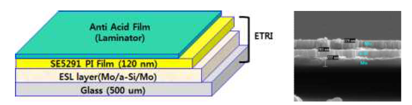 Glass 식각시 PI막 손상을 막는 Etch stop layer 구조