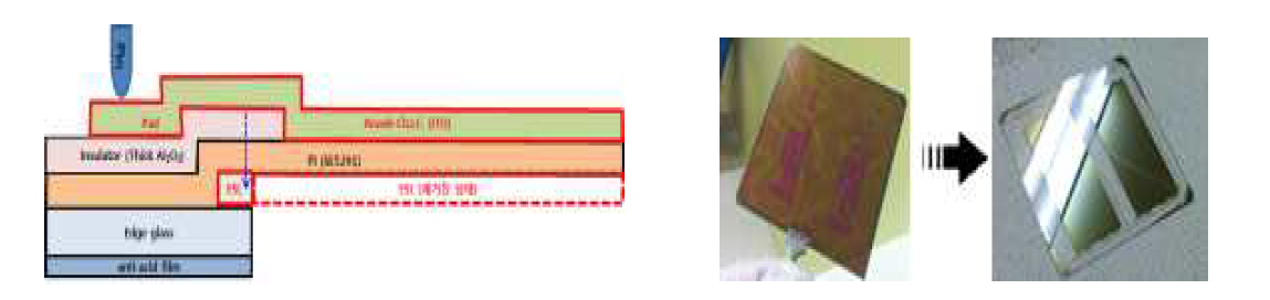 Glass 일부영역 식각 단면구조(좌) 및 패터닝된 ESL모습(우)
