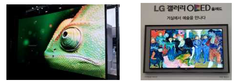 삼성(좌) 및 LG(우)의 OLED TV