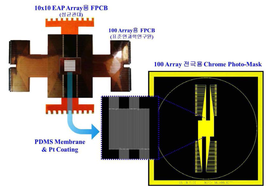 표준과학연구원의 100 Array FPCB (고집적)와 성균관대학교의 10x10 Array FPCB (고성능)의 결합구조 고안