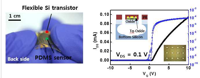 플렉서블 트랜지스터와 결합된 Pressure Sensitive rubber 센서 이미지와 전기적 특성 데이터