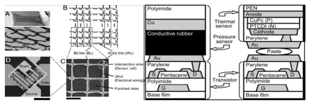 동경대 Someya 교수팀이 발표한 유기 트랜지스터 Readout이 구비된 플렉시블 촉각센서(PNAS, 2005)