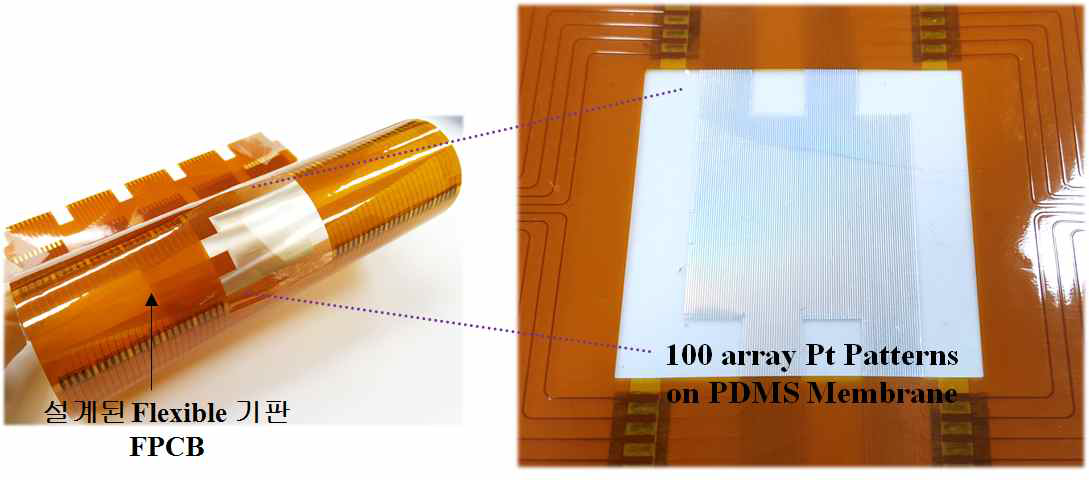 PDMS Membrane위에 패턴된 100 Array Pt 전극과 FPCB의 결합