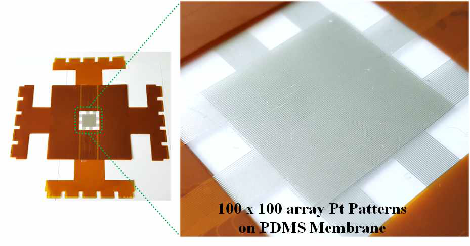 100 array Pt 전극 & FPCB 두 개의 결합을 통한 100x100 array 결합