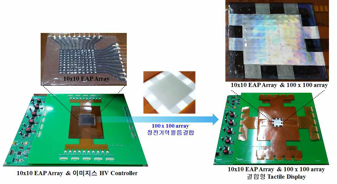 10x10 EAP array와 100x100 정전기력 array의 결합